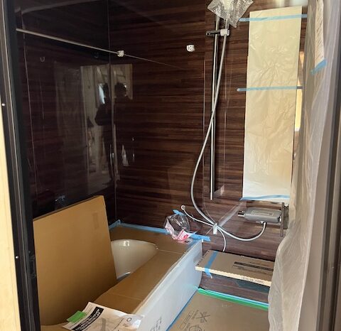 少しお見せします