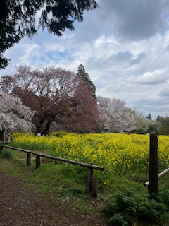 穴場スポット