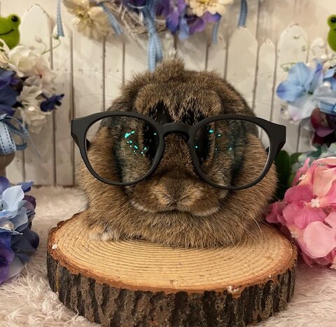 たまには