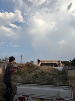 草刈り