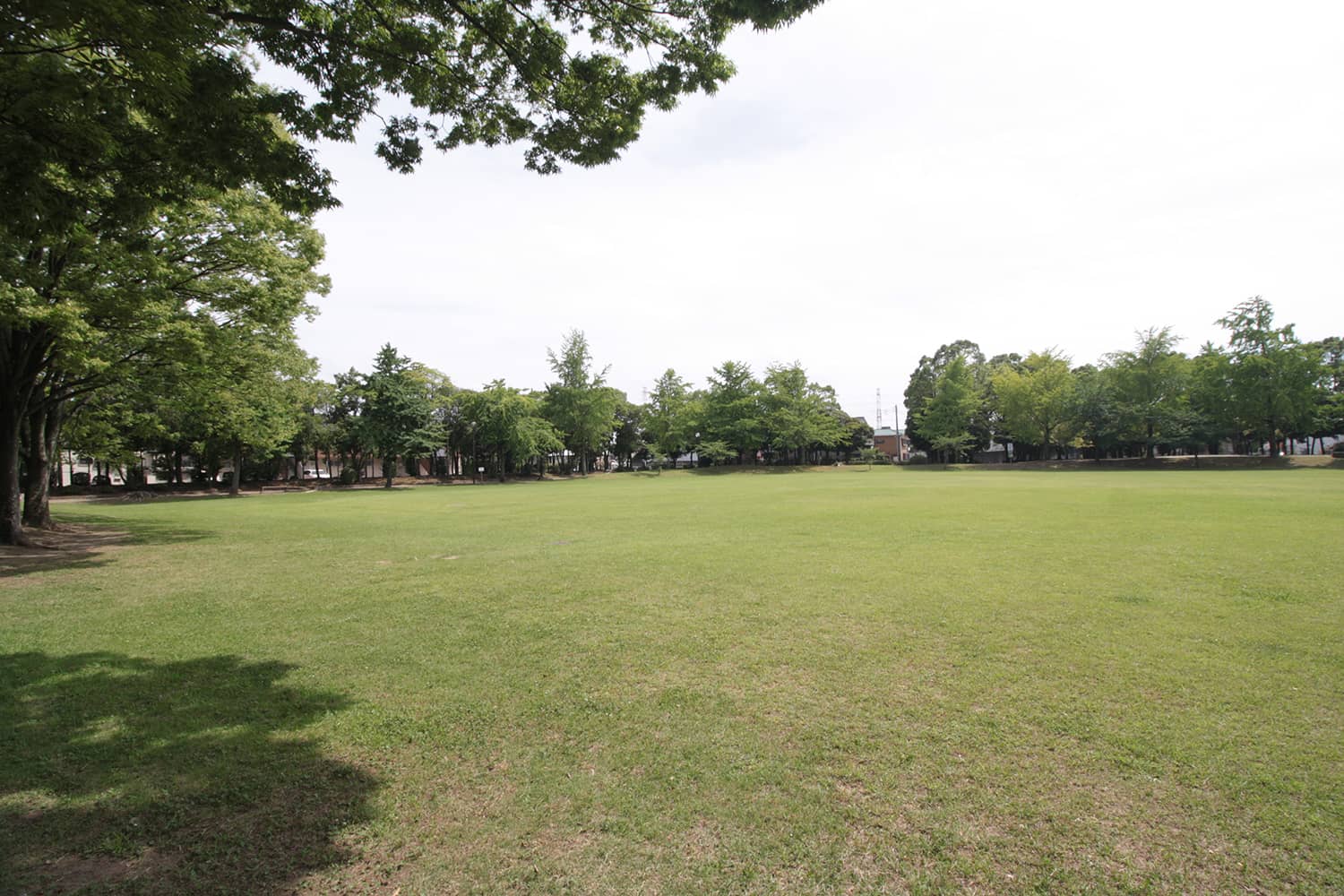 君塚中央公園