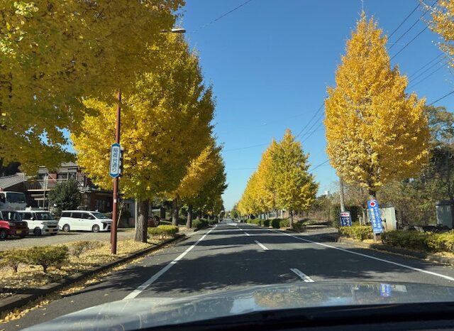 ちょっと一息♬