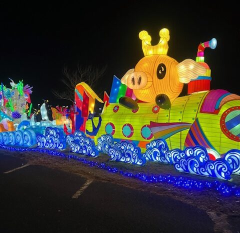 イルミネーション