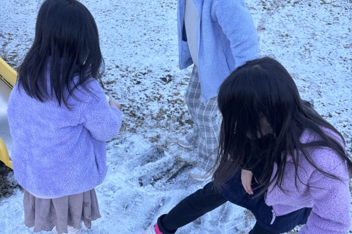 今年もよろしくお願いします！