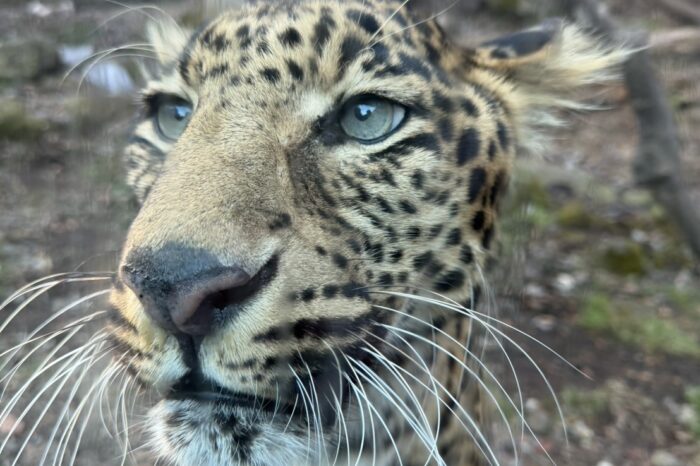 富士サファリパーク